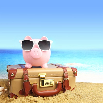 Travel Pig